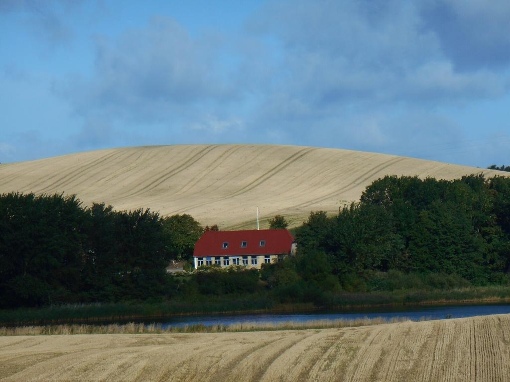 Bogebjerggard Bed & Breakfast Sønderborg Dış mekan fotoğraf