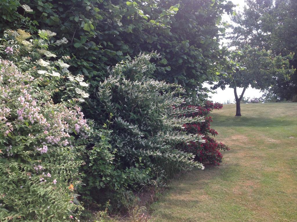 Bogebjerggard Bed & Breakfast Sønderborg Dış mekan fotoğraf