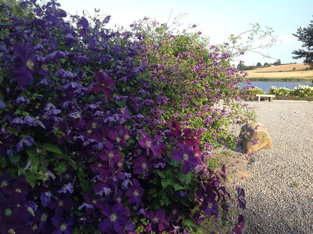 Bogebjerggard Bed & Breakfast Sønderborg Dış mekan fotoğraf