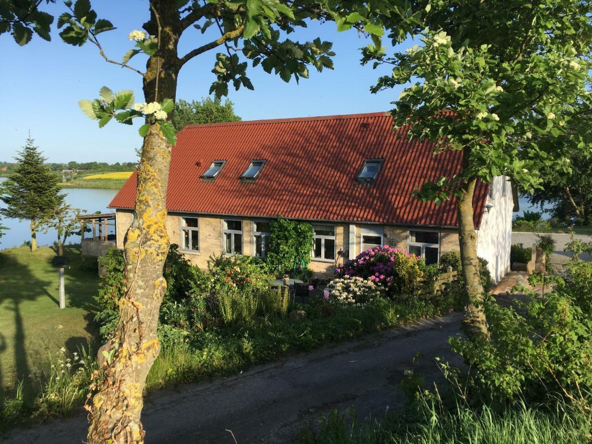 Bogebjerggard Bed & Breakfast Sønderborg Dış mekan fotoğraf