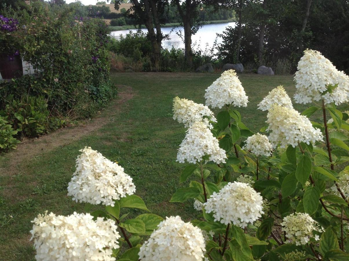 Bogebjerggard Bed & Breakfast Sønderborg Dış mekan fotoğraf